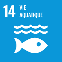 vie aquatique