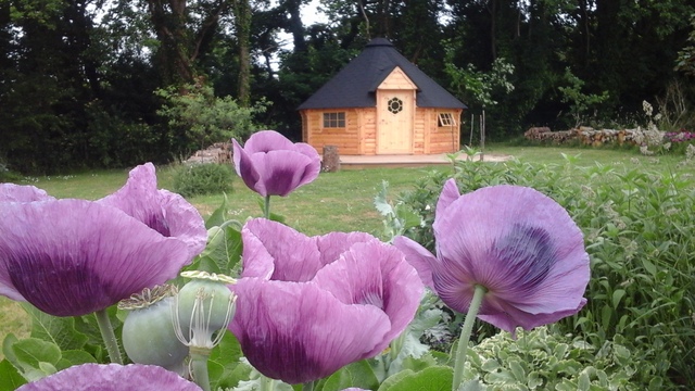 insolite au milieu de la nature