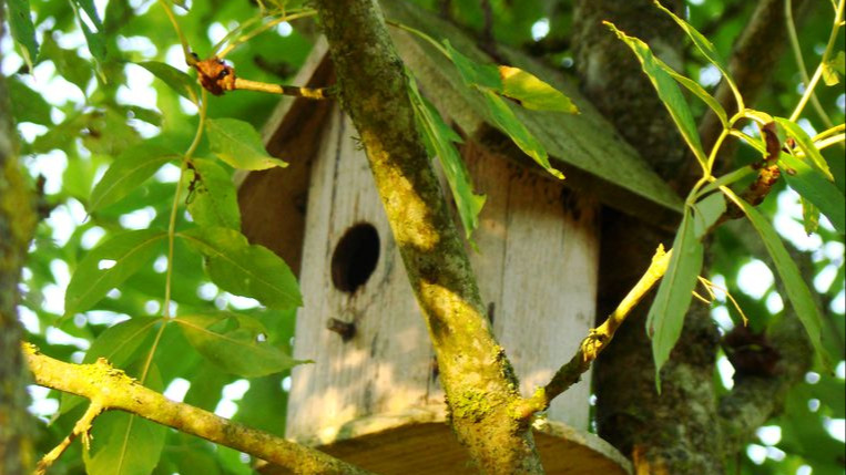 biodiversité